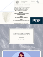 Control Prenatal