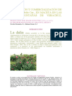 Producción y Comercialización de Dahlia Variabilis Cav