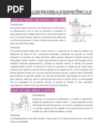 Tarea 3.3