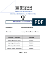 Producto Academico N2 Gestion Profesional