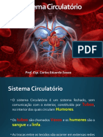 Sistema Circulatório