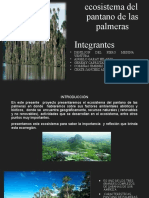 Avance de Portafolio 1 - Denilsondelpieromedinaventura