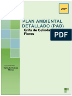 Plan Ambiental Detallado Pad Grifo de Celinda Chavez