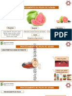 Processamento Da Goiaba