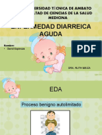 Enfermedad Diarreica Aguda