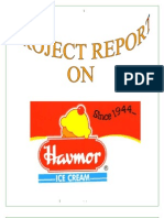 Havmor Ice Creams Bba Mba Project Report