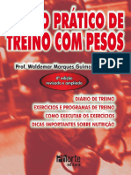 Resumo Diario Pratico de Treino Com Pesos Waldemar Marques Guimaraes Neto