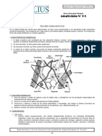 Anat. (03) Tejido Conectivo 43 - 48