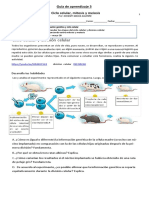 Guia Sobre La Mitosis y Meiosis Grado 7