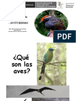 Observación de Aves SNTN