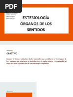 Estesiología