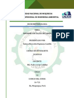 Informe I Salida de Campo - Espinoza Castillo Kattya M