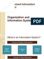 Organization and Information System Final