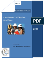 Esquema de Informe de Practicas-2023