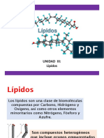 B6 Lipidos Introducción