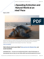 Humans Are Speeding Extinction and Altering The Natural World at An Unprecedented' Pace - The New York Times