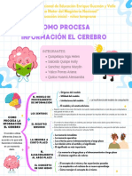 Organizador de Como Procesa Información El Cerebro