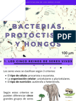 TEMA 6 Moneras, Protoctistas y Hongos