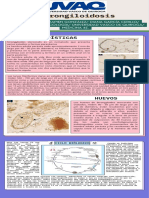 Estrongiloidosis