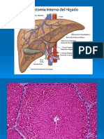 Patologia Hepatica