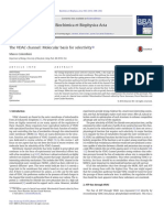 The VDAC Channel-Molecular Basis For Selectivity