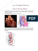 Introdução A Cardiologia Veterinária