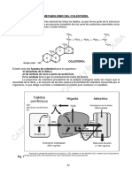 Material de Estudio. Módulo Metabolismo Del Colesterol