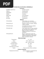 Ficha Técnica de Granadilla