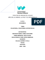 Informe N°6