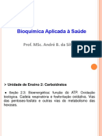 Bioquímica Aplicada À Saúde-Unidade 2-2.3-1ºsem2022