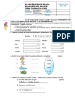 Diagnostico Psa 4to Mat-Vesp