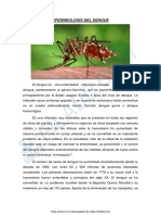 EPIDEMIOLOGIA DEL DENGUE Ultimo 2