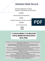 La Salud Mental y Su Relacion Con El Bienestar Psicologico en El Peru