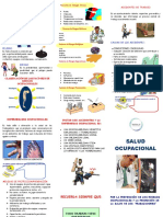 Salud Ocupacional y Prevencion