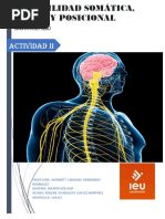 Sensibilidad Somática