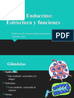 Sistema Endocrino I