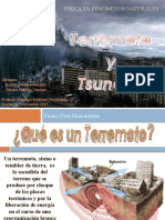 Terremoto y Tsunami, Fisica