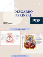 Desgarro Perineal