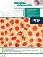 Biologia 2 La Célula