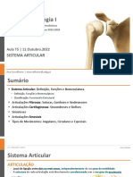 AULA AFI T5 - Sistema Articular - 2022-2023