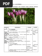 Explication Linéaire 11 Les Colchiques