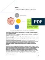 Patología Vascular 2023