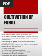 Fungal Culture