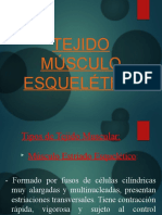 Tejido Musculoesqueletico2