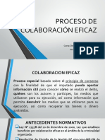 Proceso de Colaboracion Eficaz