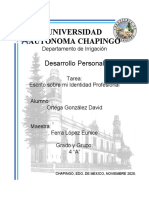 Identidad Personal - Desarrollo Personal