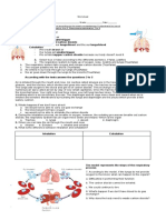 Worksheet Respiratory