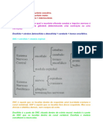 Anotações Livro Neuroanatomia