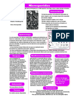 Laminario Microsporidios