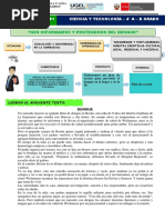 PDF Documento